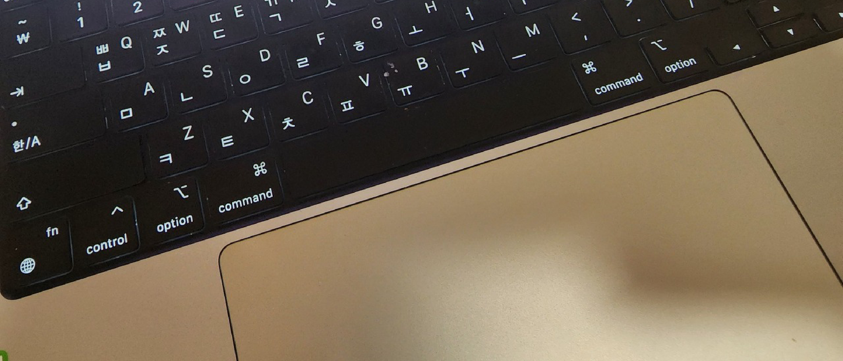 [개발자 이야기 #3편] 내가 만난 이상한 일본인 #1 : 공황 장애