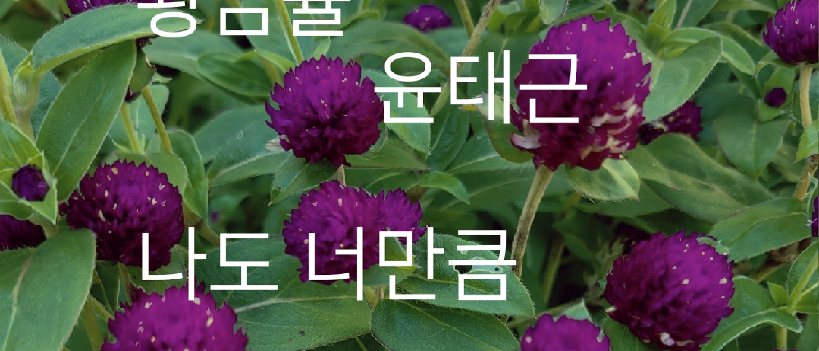 황금률