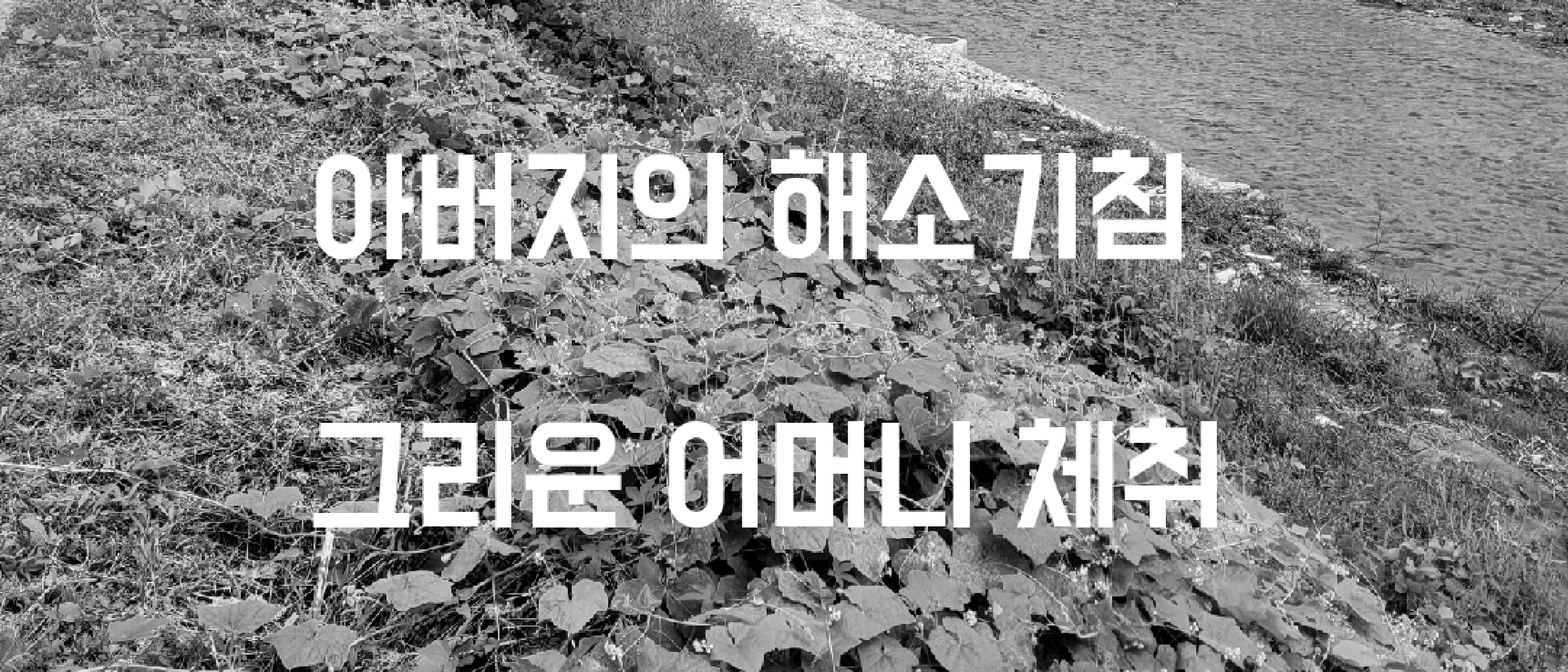 시래기 나물