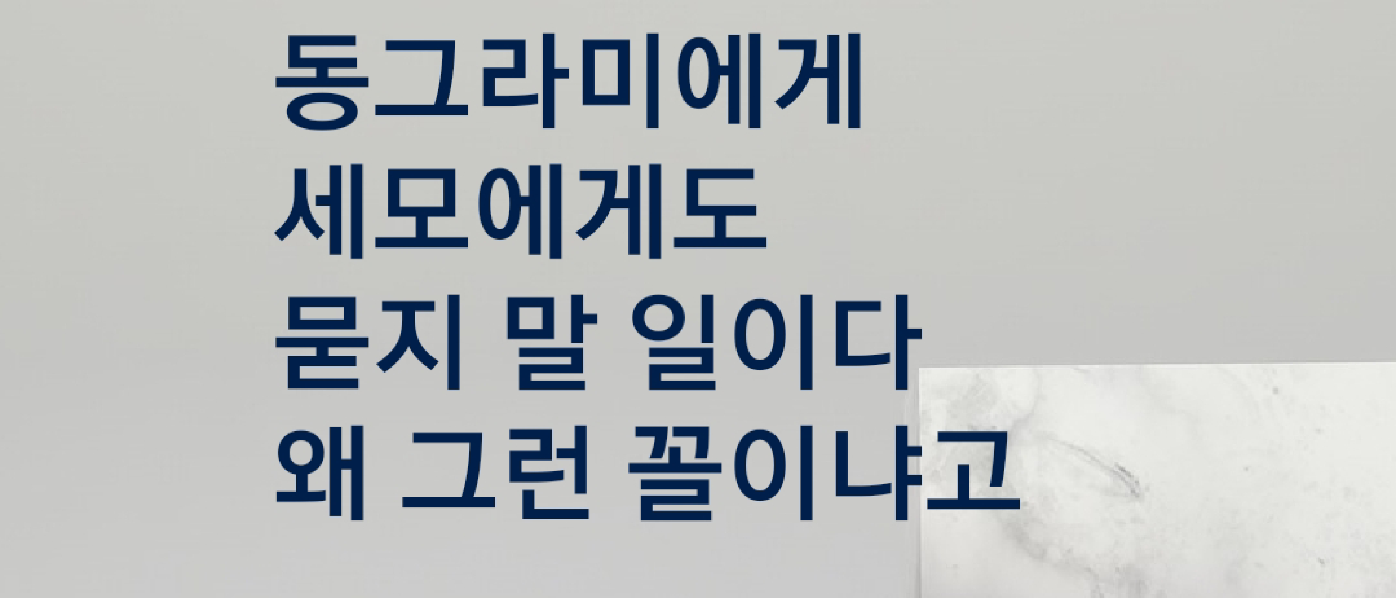 묻지 말자