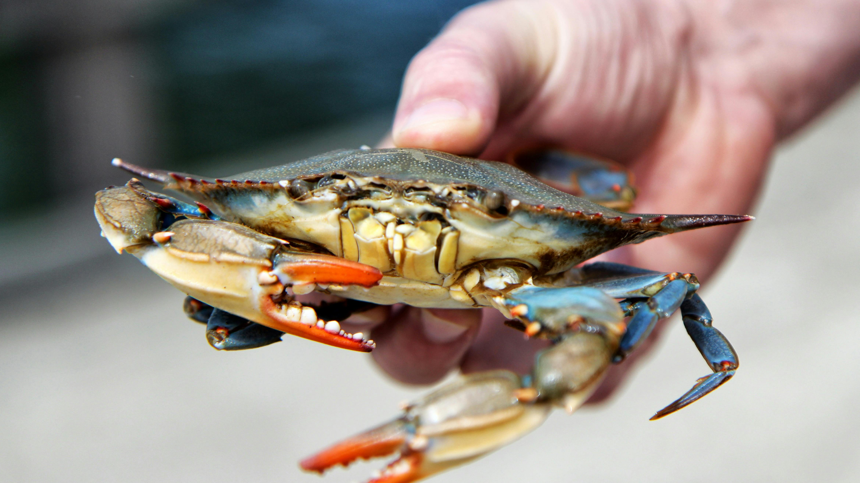 [시] 스며드는 것